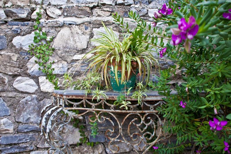 Victoria'S Guesthouse Damouchari Exterior photo